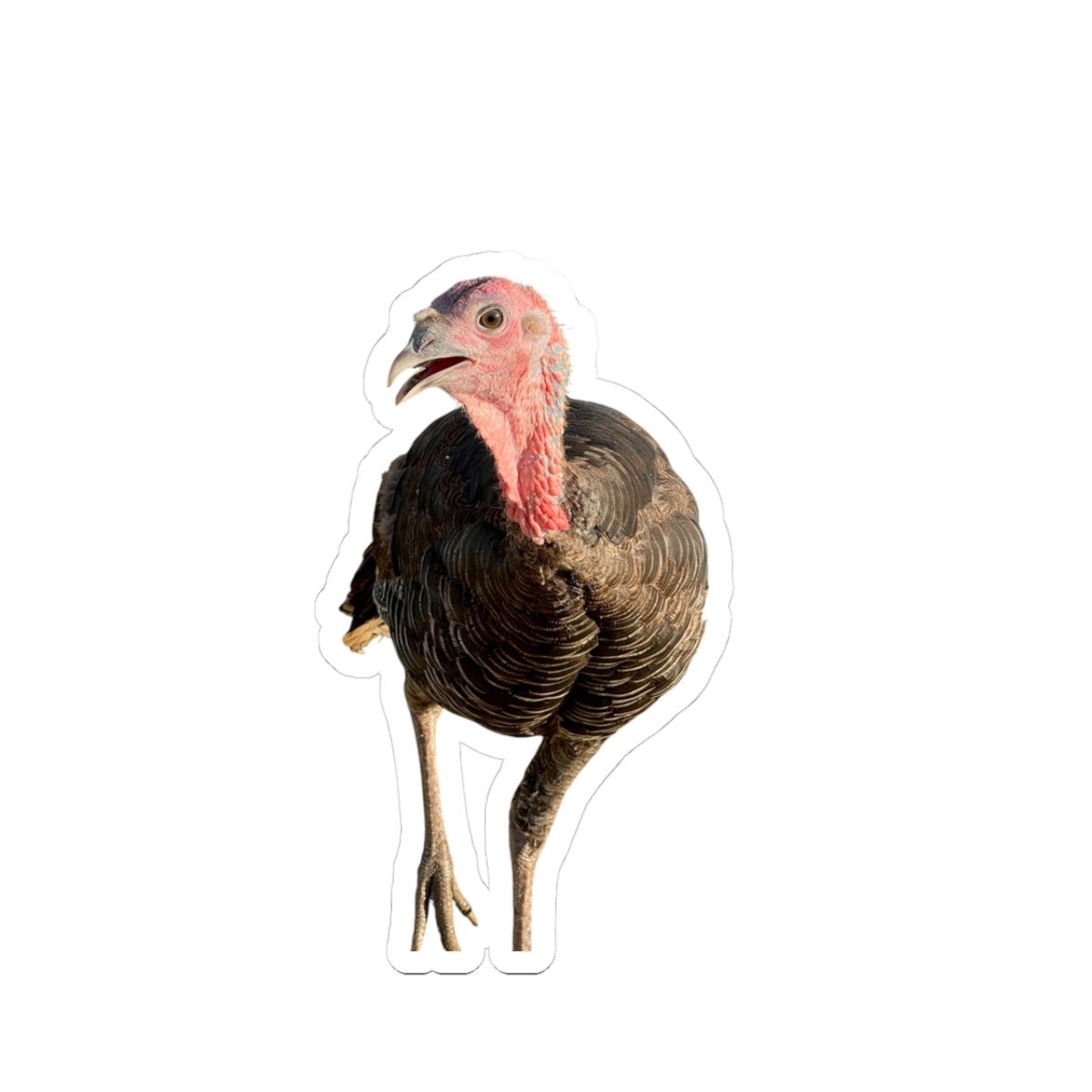 Turkey Kiss-Cut Stickers for Thanksgiving, Thanksgiving Decor, Gift for Turkey Lovers, Laptop Stickers, Cute Animal Stickers