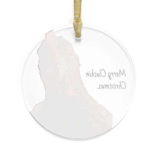 Copy of Humorous Acrylic Ornaments, Funny Holiday Decor, Christmas Tree Decoration, Gift for Animal Lovers, Unique Xmas Ornaments